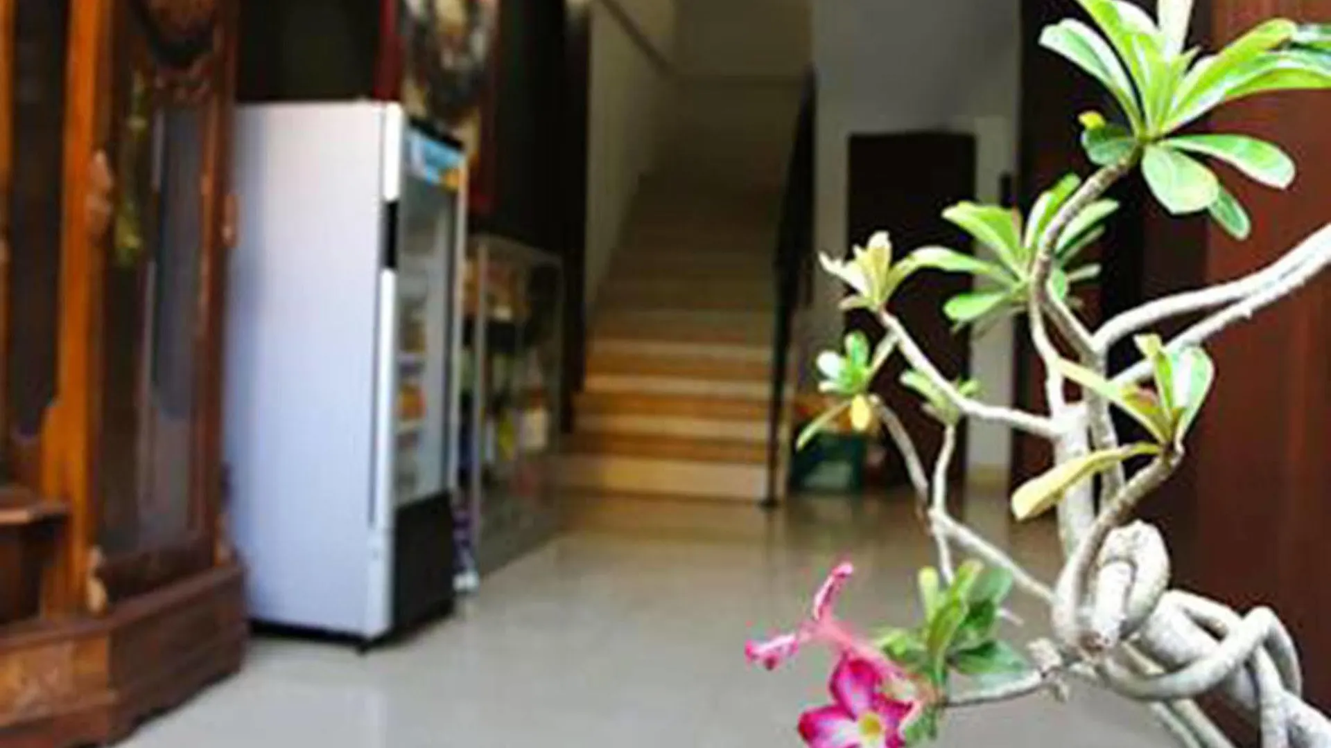 *** Penzion Graha Chania Legian Kuta Lombok Indonésie